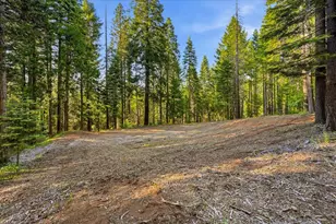 22929 Missouri Ridge, Nevada City, CA 95959 - Photo 52