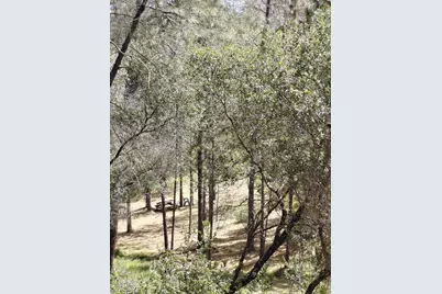 0 Swedes Flat Road, Bangor, CA 95966 - Photo 12