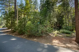 6251 Merry Way, Clipper Mills, CA 95930 - Photo 60