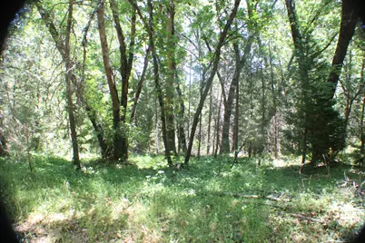 21785 Hwy 26, West Point, CA 95255 - Photo 12