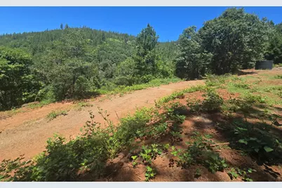 0 Maple Springs Trail, Dobbins, CA 95935 - Photo 20