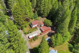 22 Church St, Sierra City, CA 96125 - Photo 32