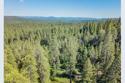 3076 Forest Lane, Arnold, CA 95223 - Photo 46