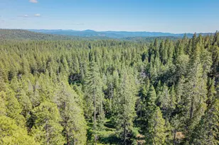 3076 Forest Ln, Arnold, CA 95223 - Photo 46