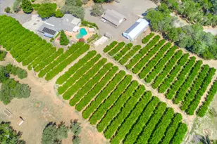 78 Circle View Dr, Oroville, CA 95966 - Photo 86