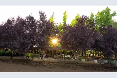 20680 Shenandoah School Road, Plymouth, CA 95669 - Photo 8