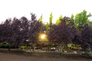 20680 Shenandoah School Rd, Plymouth, CA 95669 - Photo 8