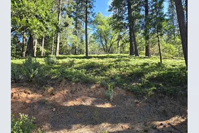 2964 Murphys Drive, Arnold, CA 95223 - Photo 1
