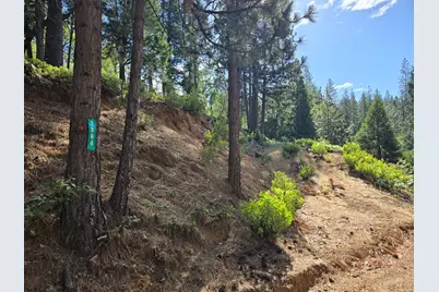 2964 Murphys Drive, Arnold, CA 95223 - Photo 2