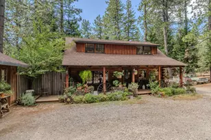 23823 Shake Ridge Rd, Volcano, CA 95689 - Photo 8