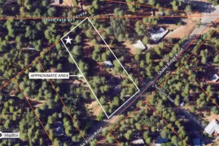 23823 Shake Ridge Rd, Volcano, CA 95689 - Photo 80
