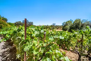 620 Smith Flat Rd, Angels Camp, CA 95222 - Photo 48