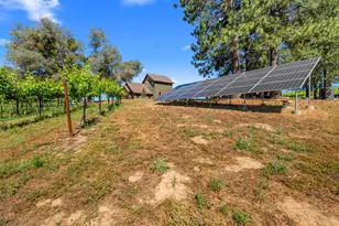 7330 Perry Creek Rd, Somerset, CA 95684 - Photo 54