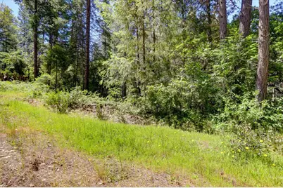 17390 Skyland Road, Nevada City, CA 95959 - Photo 6