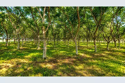13626 W Harding Road, Turlock, CA 95380 - Photo 40