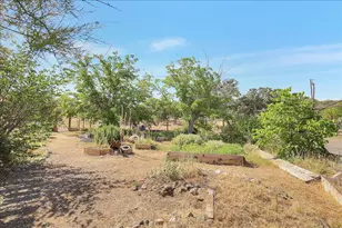 311 Colusi Ln, Stonyford, CA 95979 - Photo 60