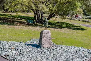 22401 Volcano Hills Rd, Pioneer, CA 95666 - Photo 40