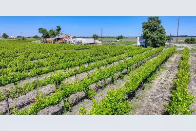 37830 Jefferson Boulevard, Clarksburg, CA 95612 - Photo 24