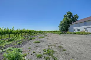 37830 Jefferson Blvd, Clarksburg, CA 95612 - Photo 34