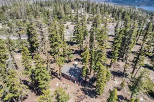 47390 State Hwy 88, Pioneer, CA 95666 - Photo 44