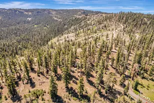 47390 State Hwy 88, Pioneer, CA 95666 - Photo 52