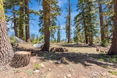 47390 State Highway 88, Pioneer, CA 95666 - Photo 28