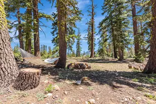 47390 State Hwy 88, Pioneer, CA 95666 - Photo 28