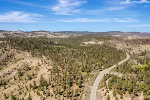 47390 State Hwy 88, Pioneer, CA 95666 - Photo 50