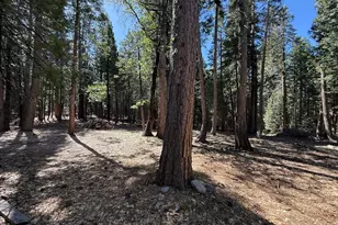 13560 Serpentine Way, Nevada City, CA 95959 - Photo 26