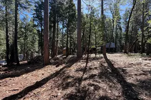 13560 Serpentine Way, Nevada City, CA 95959 - Photo 24