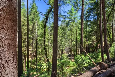 250 Secret Town Lane, Colfax, CA 95713 - Photo 46
