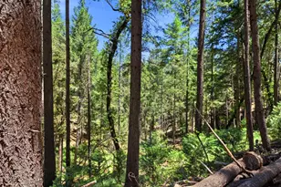 250 Secret Town Ln, Colfax, CA 95713 - Photo 46