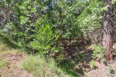 4909 Clear Creek Road, Placerville, CA 95667 - Photo 56