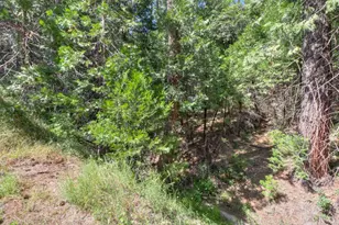 4909 Clear Creek Rd, Placerville, CA 95667 - Photo 56