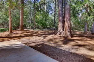 13860 Winding Way, Nevada City, CA 95959 - Photo 28