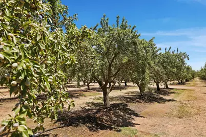 12400 E Keyes Road, Denair, CA 95316 - Photo 16
