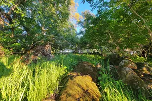 19890 Perimeter Rd, Grass Valley, CA 95949 - Photo 78