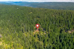 141 Glory Hole, North San Juan, CA 95358 - Photo 32