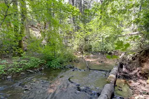 141 Glory Hole, North San Juan, CA 95358 - Photo 2