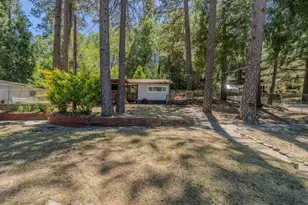 14876 Shenandoah Rd, River Pines, CA 95675 - Photo 6