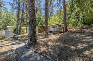14876 Shenandoah Rd, River Pines, CA 95675 - Photo 8