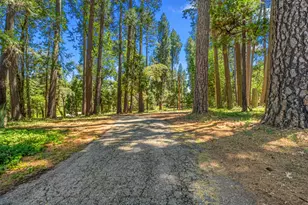 5660 State Hwy 193, Georgetown, CA 95634 - Photo 48