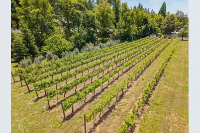 571 Tanner Court, Murphys, CA 95247 - Photo 72