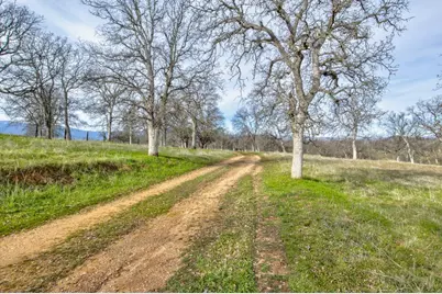 3376 Co Road 308, Elk Creek, CA 95939 - Photo 28