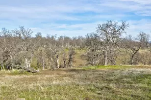 3376 Co Road 308, Elk Creek, CA 95939 - Photo 30