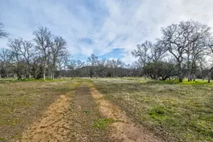 3376 Co Road 308, Elk Creek, CA 95939 - Photo 36