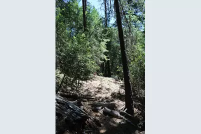 543 Main, Downieville, CA 95936 - Photo 22