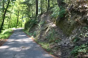 543 Main, Downieville, CA 95936 - Photo 1