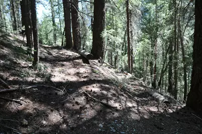 543 Main, Downieville, CA 95936 - Photo 4