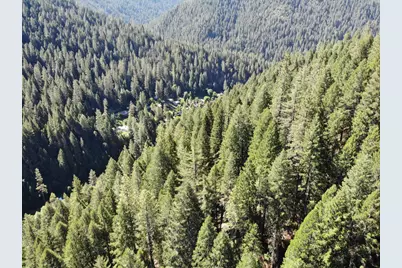543 Main, Downieville, CA 95936 - Photo 44
